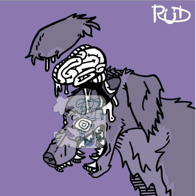 An afghan-hound who's head is opened to show their brain. The right half of the full banner art.